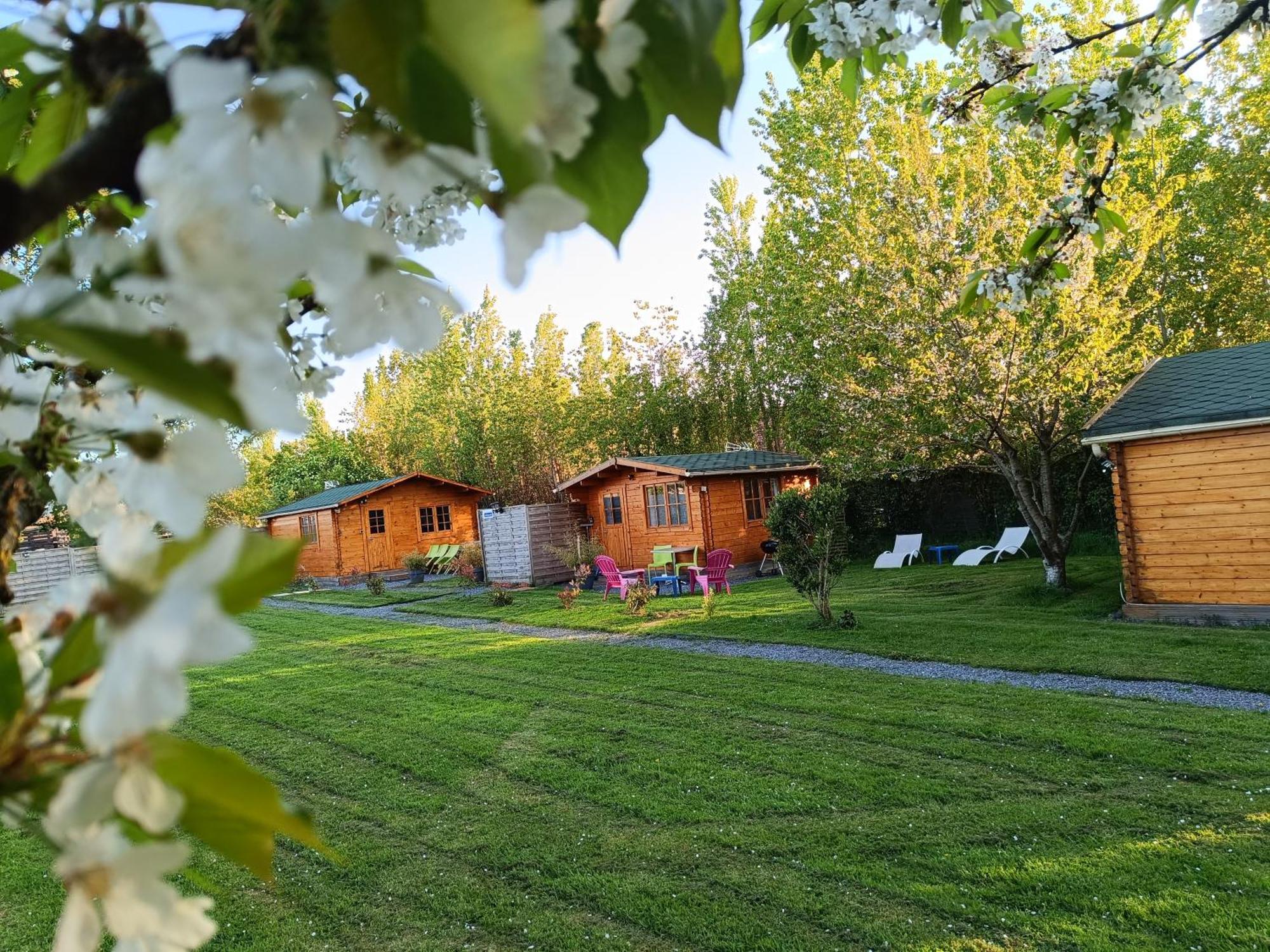 Gite Les Chalets Du Fliers Verton Meubles De Tourisme Classes 2 Etoiles Berck Room photo